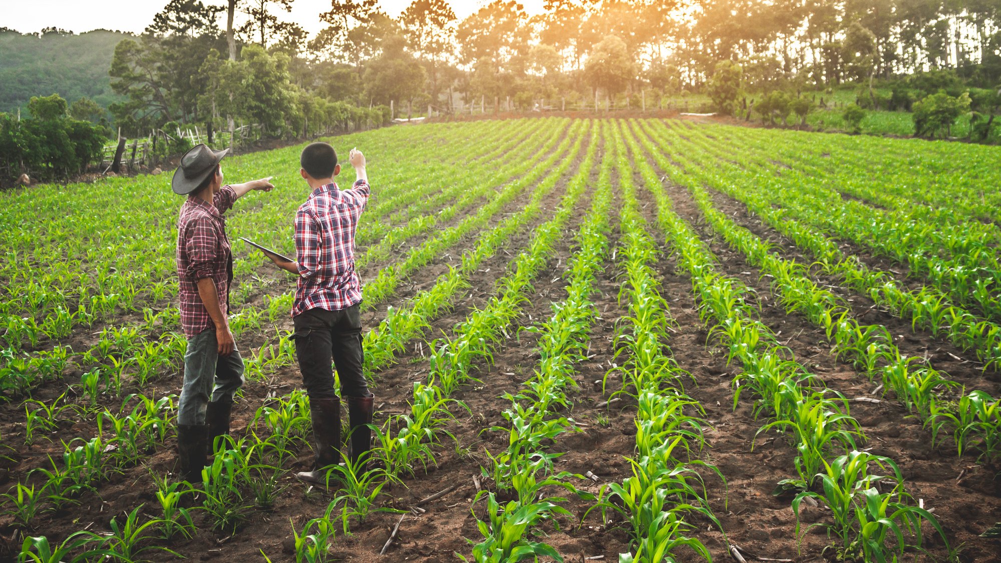 Farmers in the Field