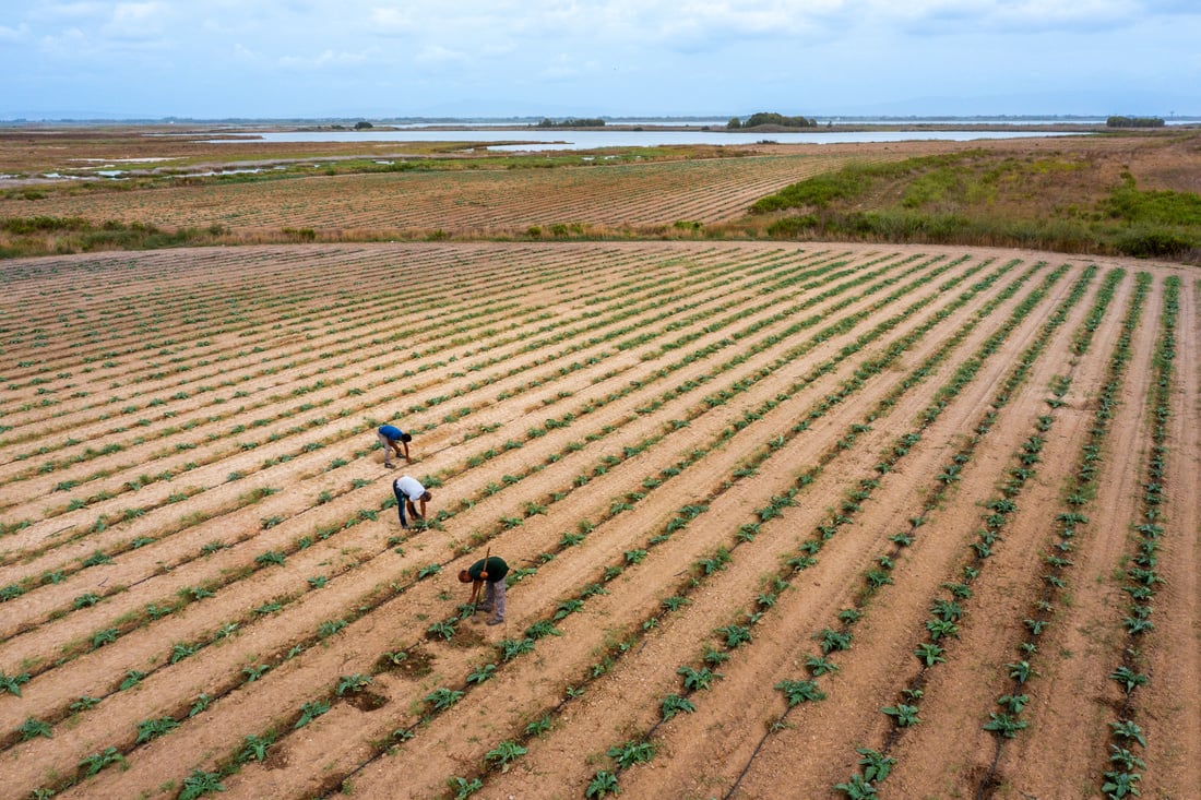 Regenerative Farming Aerial View of a Farm